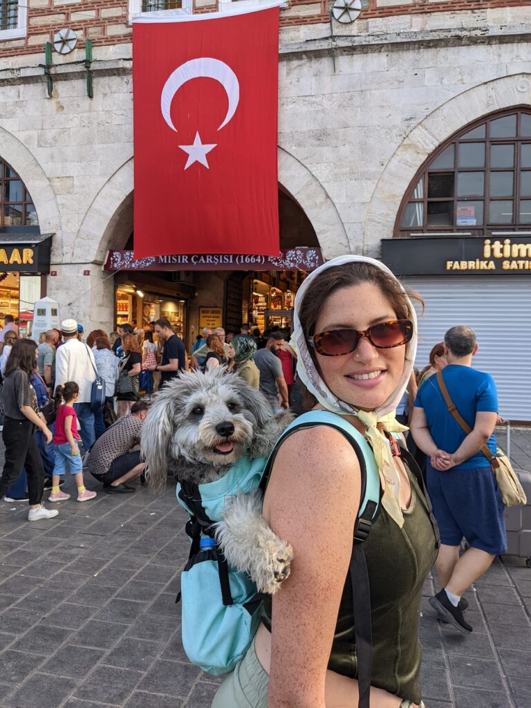 Dog in Turkey