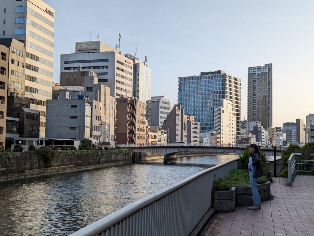 View of the Osaka skyline